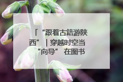 “跟着古籍游陕西”｜穿越时空当“向导” 在图书馆外“活”起来