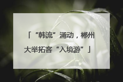 “韩流”涌动，郴州大举拓客“入境游”