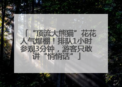 “顶流大熊猫”花花人气爆棚！排队1小时参观3分钟，游客只敢讲“悄悄话”