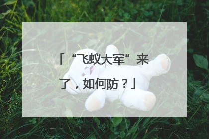“飞蚁大军”来了，如何防？