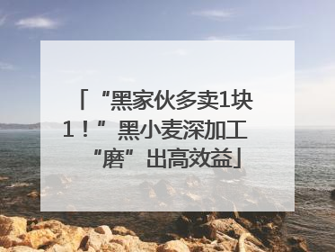 “黑家伙多卖1块1！”黑小麦深加工“磨”出高效益