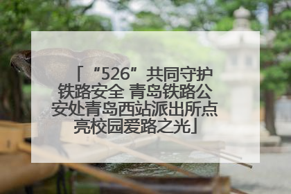 “526”共同守护铁路安全 青岛铁路公安处青岛西站派出所点亮校园爱路之光