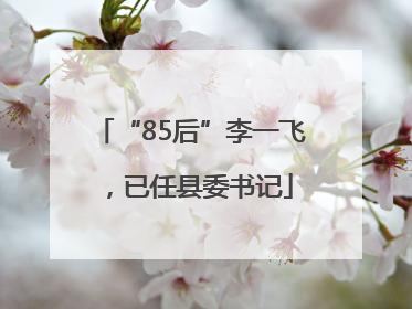 “85后”李一飞，已任县委书记