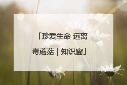 珍爱生命 远离毒蘑菇｜知识窗