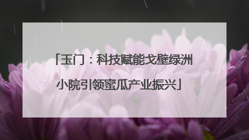 玉门：科技赋能戈壁绿洲 小院引领蜜瓜产业振兴