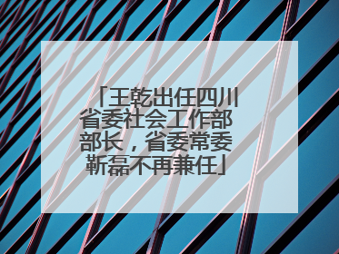 王乾出任四川省委社会工作部部长，省委常委靳磊不再兼任