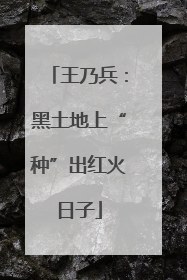 王乃兵：黑土地上“种”出红火日子