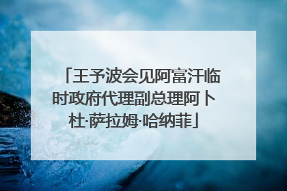 王予波会见阿富汗临时政府代理副总理阿卜杜·萨拉姆·哈纳菲