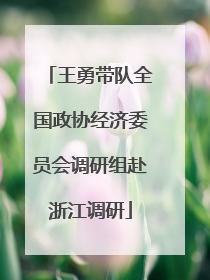 王勇带队全国政协经济委员会调研组赴浙江调研