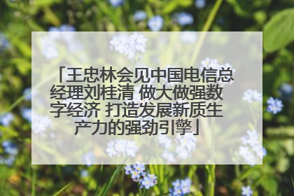 王忠林会见中国电信总经理刘桂清 做大做强数字经济 打造发展新质生产力的强劲引擎