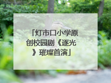 灯市口小学原创校园剧《逐光》璀璨首演