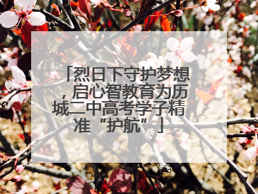 烈日下守护梦想，启心智教育为历城二中高考学子精准“护航”