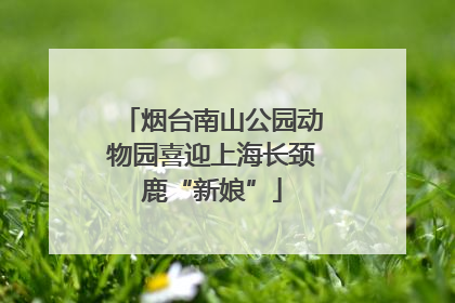 烟台南山公园动物园喜迎上海长颈鹿“新娘”