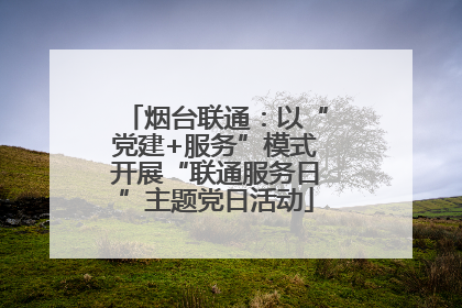 烟台联通：以“党建+服务”模式开展“联通服务日”主题党日活动