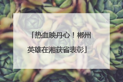 热血映丹心！郴州英雄在湘获省表彰