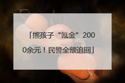 熊孩子“氪金”2000余元！民警全额追回