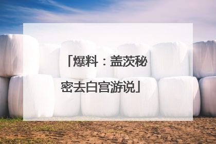 爆料：盖茨秘密去白宫游说