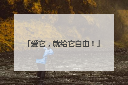 爱它，就给它自由！