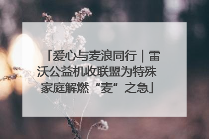 爱心与麦浪同行｜雷沃公益机收联盟为特殊家庭解燃“麦”之急