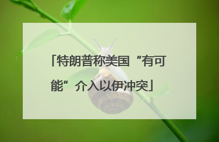 特朗普称美国“有可能”介入以伊冲突