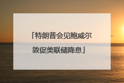 特朗普会见鲍威尔 敦促美联储降息
