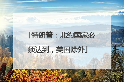 特朗普：北约国家必须达到，美国除外