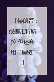 特朗普：或挪走特斯拉 但还会用“星链”