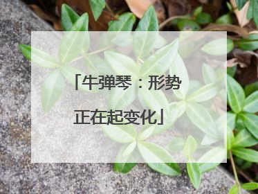 牛弹琴：形势正在起变化