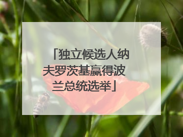 独立候选人纳夫罗茨基赢得波兰总统选举