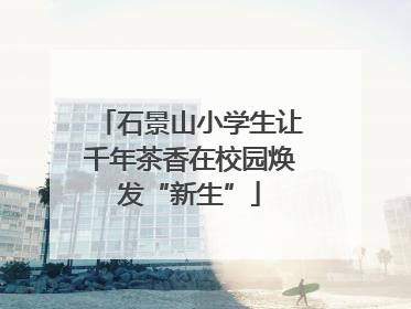 石景山小学生让千年茶香在校园焕发“新生”