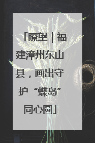 瞭望｜福建漳州东山县，画出守护“蝶岛”同心圆