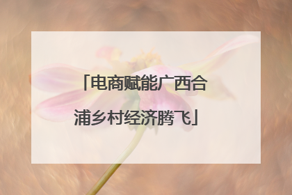 电商赋能广西合浦乡村经济腾飞
