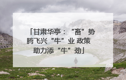 甘肃华亭：“畜”势腾飞兴“牛”业 政策助力添“牛”劲