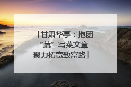 甘肃华亭：抱团“蔬”写菜文章 聚力拓宽致富路