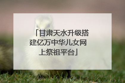 甘肃天水升级搭建亿万中华儿女网上祭祖平台