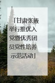 甘肃张掖举行推优入党暨优秀团员党性培养示范活动