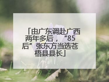 由广东调赴广西两年多后，“85后”张东方当选苍梧县县长