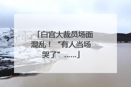 白宫大裁员场面混乱！“有人当场哭了”……