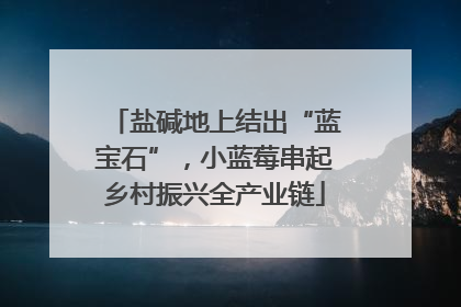 盐碱地上结出“蓝宝石”，小蓝莓串起乡村振兴全产业链