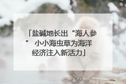 盐碱地长出“海人参” 小小海虫草为海洋经济注入新活力