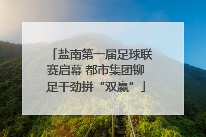 盐南第一届足球联赛启幕 都市集团铆足干劲拼“双赢”