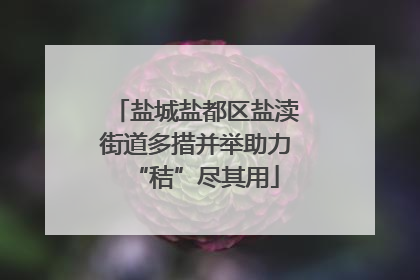 盐城盐都区盐渎街道多措并举助力“秸”尽其用