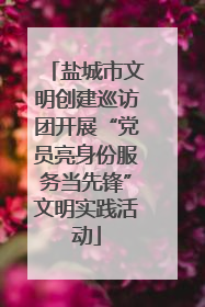 盐城市文明创建巡访团开展“党员亮身份服务当先锋”文明实践活动