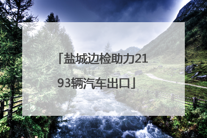 盐城边检助力2193辆汽车出口