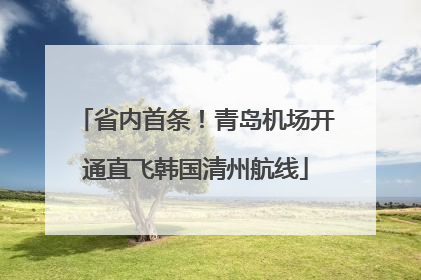 省内首条！青岛机场开通直飞韩国清州航线