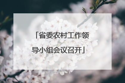 省委农村工作领导小组会议召开