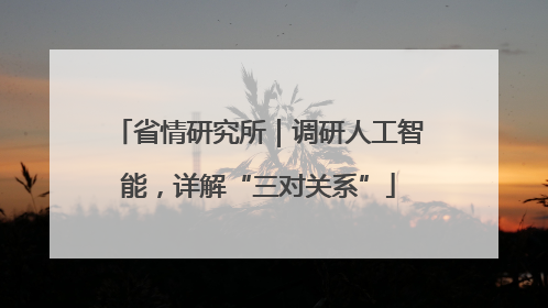 省情研究所｜调研人工智能，详解“三对关系”