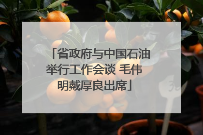 省政府与中国石油举行工作会谈 毛伟明戴厚良出席