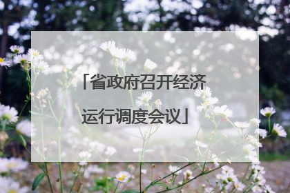 省政府召开经济运行调度会议