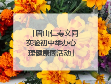 眉山仁寿文同实验初中举办心理健康周活动